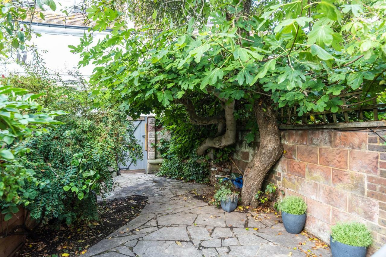 Birch At Ship St Gardens Διαμέρισμα Μπράιτον Εξωτερικό φωτογραφία